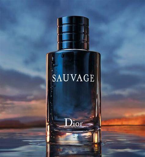 dior sauvage 200 ml - eau de toilette - herenparfum|Dior Sauvage perfume shop uk.